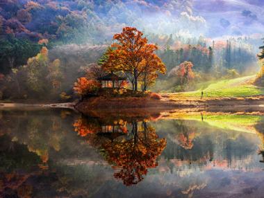 Невероятни огледални гледки от Южна Корея