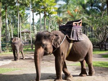 10 удивителни екзотични пътешествия