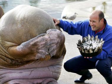 10 от най-впечатляващите снимки за 2015 г.