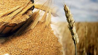 Световните цени на храните през ноември са се понижили с 1,6%