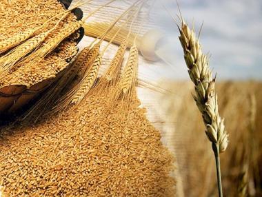 Световните цени на храните през ноември са се понижили с 1,6%