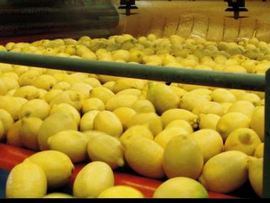 В името на водката Русия пощади турските лимони