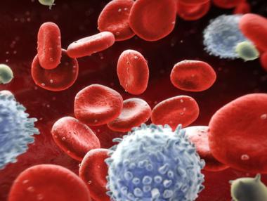 Създадоха кръвни телца чрез 3D принтер