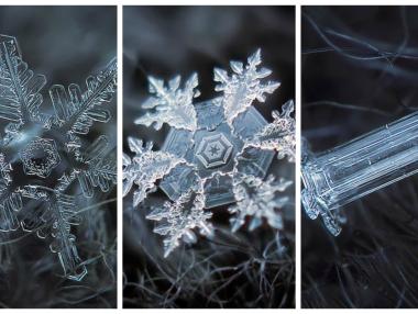 Уникални макро снимки на снежинки