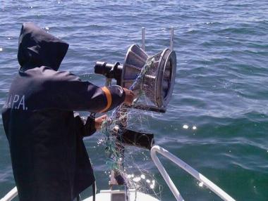 ЕК не прие нулевата квота за улов на калкан за България