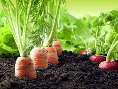 Фонд „Земеделие“ изплати всички средства за екоземеделие