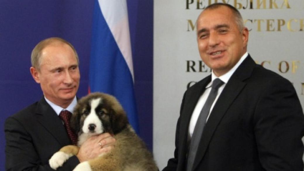 Кучето, подарено от Борисов, в календара на Путин за 2016 г.