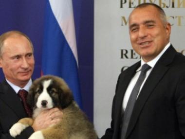 Кучето, подарено от Борисов, в календара на Путин за 2016 г.