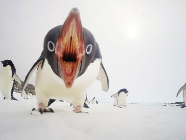 10 от най-добрите снимки на National Geographic за 2015 г.