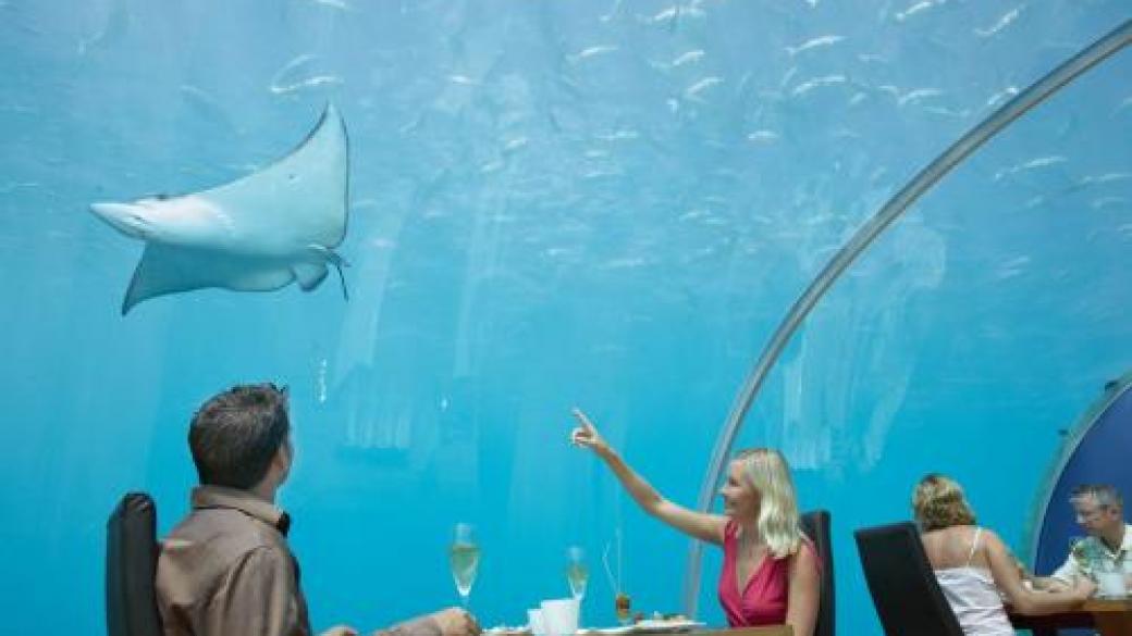 Първият в света ресторант в стил аквариум