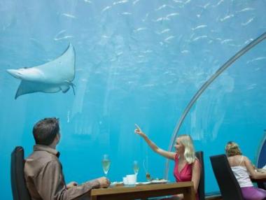 Първият в света ресторант в стил аквариум