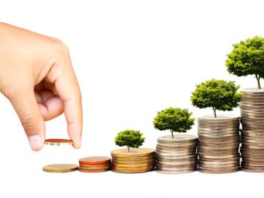 IT и земеделие сред най-привлекателните сектори за инвестиране у нас