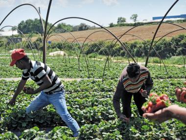 Съдят Гърция за заробване на чужденци