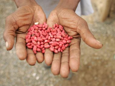 Най-гладуващите страни по света