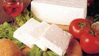 Протеин в сирената убива раковите клетки