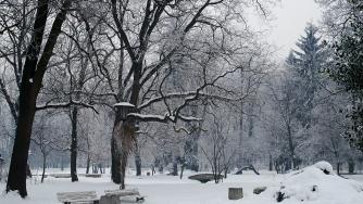 Опасно ниски температури в половин България