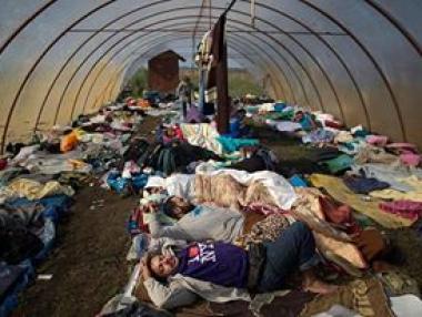 Мигрантите искат да се приберат у дома