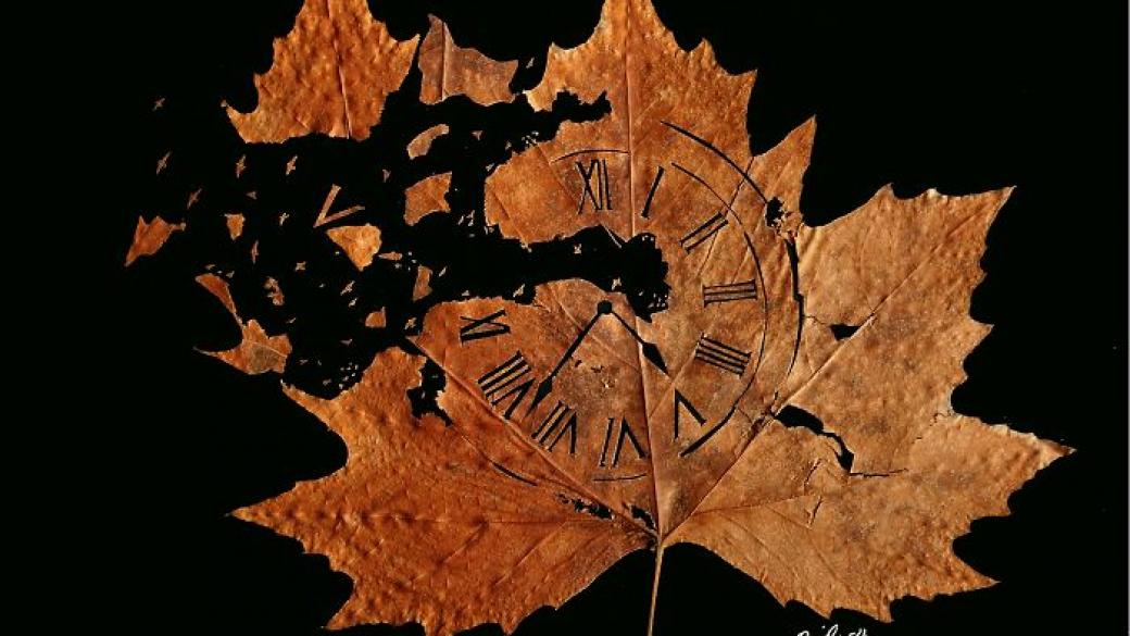 Изкуство върху есенни листа