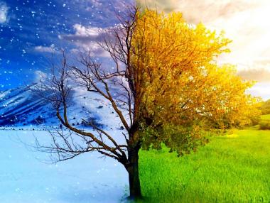 Февруари идва с пролет