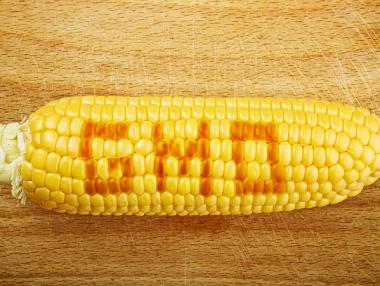 Колко са вредни ГМО културите