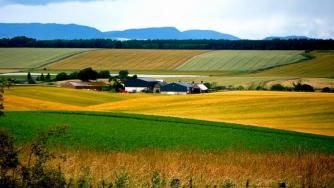 ДФЗ отделя 3 млн. лв. за растителна защита