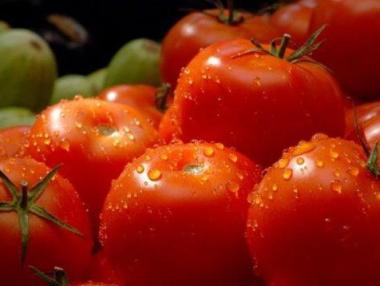 Изнасяме зеленчуци за Румъния, Германия и Чехия