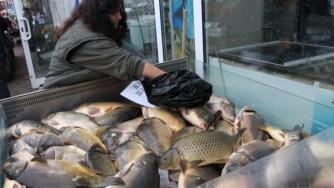 Изплатиха 251 хил. лв. на рибари