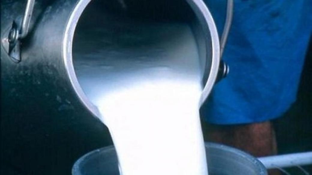 20 хил. лв. глоба за изкупуване на сурово мляко без договор