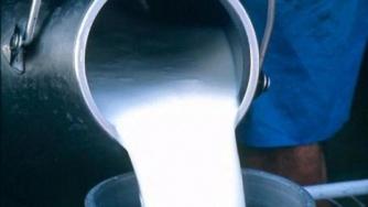 20 хил. лв. глоба за изкупуване на сурово мляко без договор