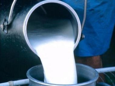 20 хил. лв. глоба за изкупуване на сурово мляко без договор