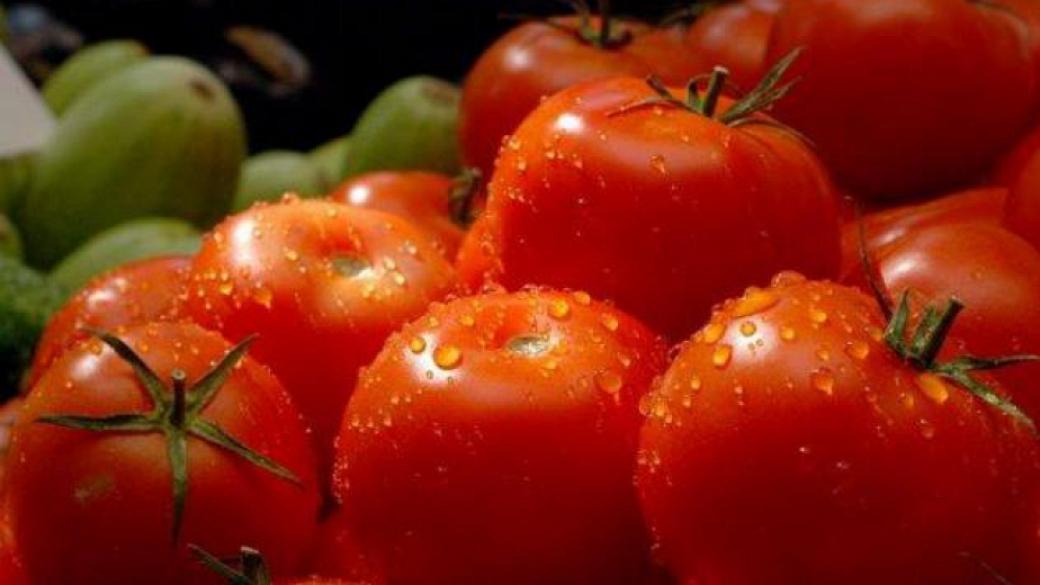 Поевтиняват вносните домати и краставици
