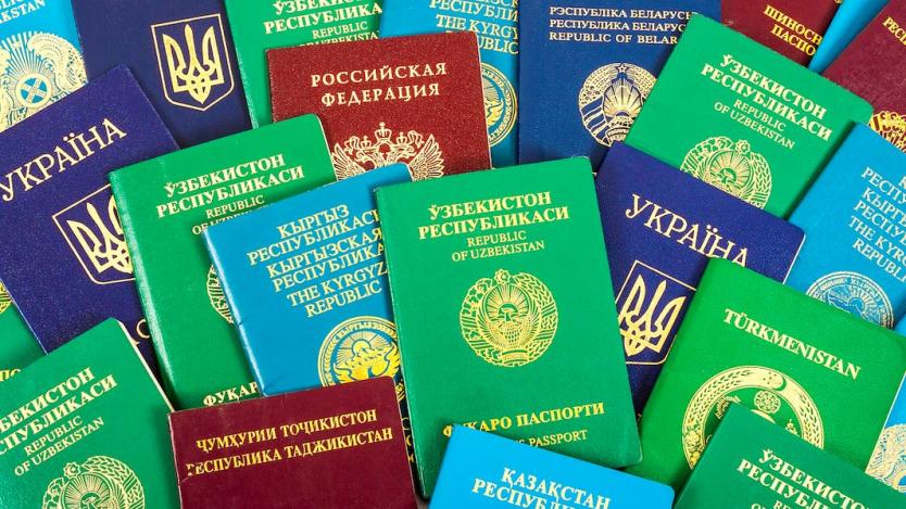 Защо паспортите са в различни цветове?