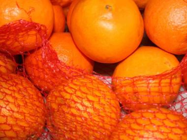 Връщаме на Гърция тонове развален зарзават