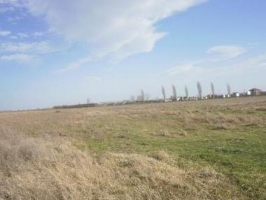 Земеделските кредити най-търсени у нас