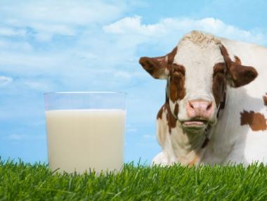 Започват проверки на всички мандри