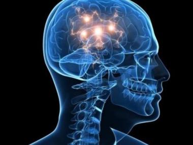 Откриха “корените на злото” в мозъка