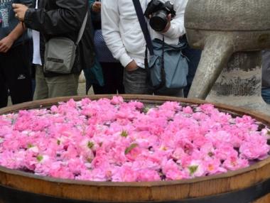 6 японски компании изнасят българско розово масло