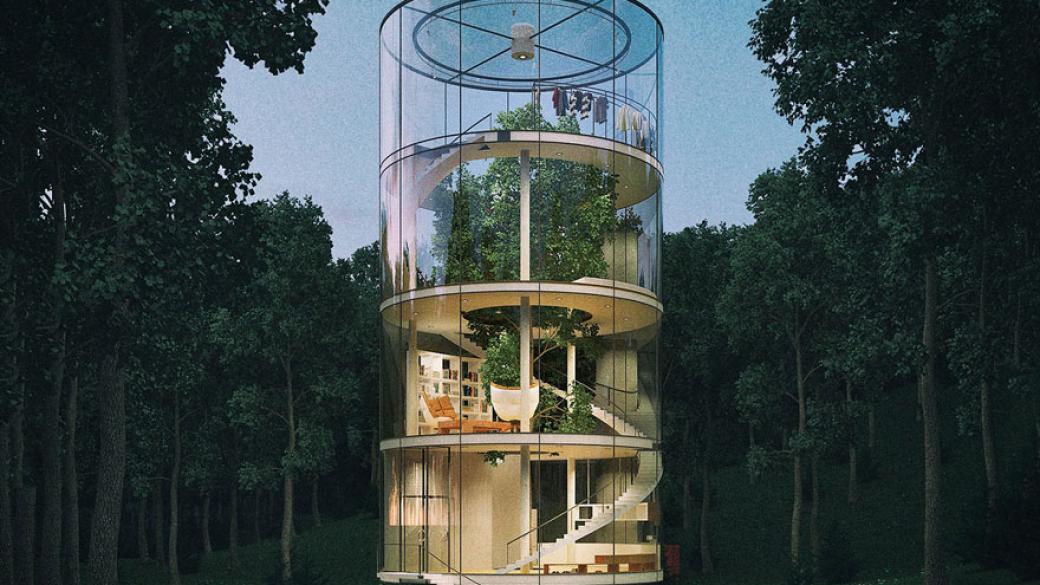 Уникална стъклена къща около дърво