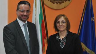 Над 1.2 млн. лв. инвестира ЧЕЗ в област Видин през 2015 г.