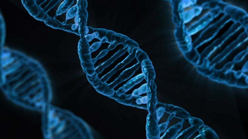 Древен вирус спи в човешкото ДНК