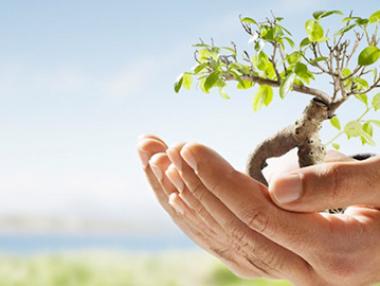 Все повече българи застраховат живота и здравето си