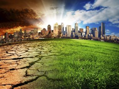 Световната банка бори бедността с инвестиции в екопроекти