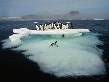 Глобалното затопляне топи финансовите активи