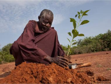Човекът, който спря пустинята