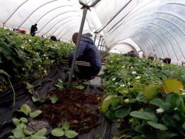 Бизнесът поиска опростени процедури за еднодневните договори