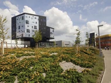 WU Executive Academy със стипендии по енергийно управление и европейско бизнес право