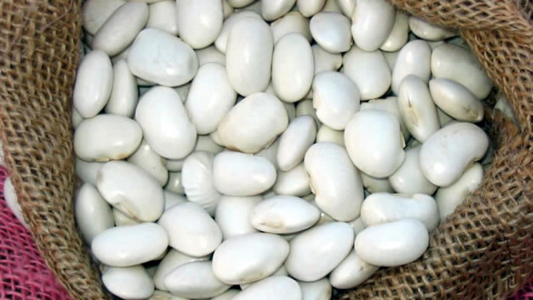 БАБХ спря от продажба 69 тона бял боб с пестициди