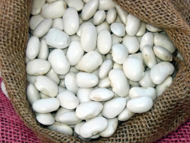 БАБХ спря от продажба 69 тона бял боб с пестициди