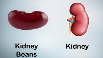 12 храни, приличащи на телесните части, за които са полезни