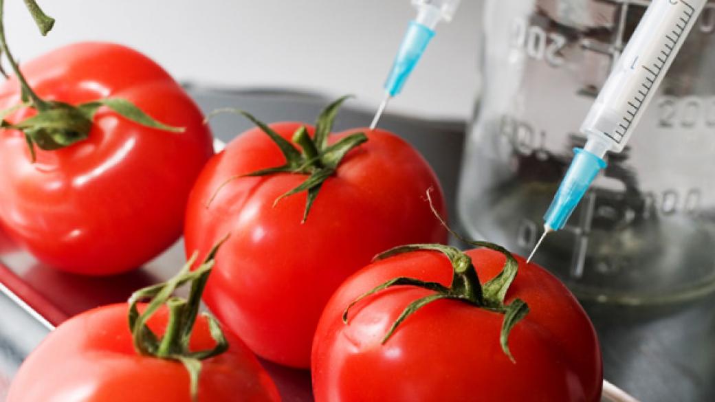 ЕК отстъпи в изискванията си за ГМО